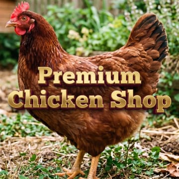 Premium Chicken Shop and Takeaway - 5893