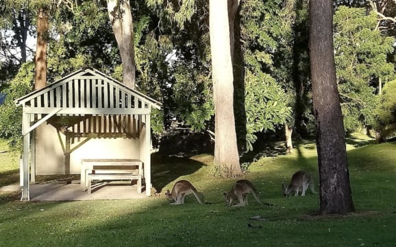 Caravan Park (Freehold) on the Fraser Coast