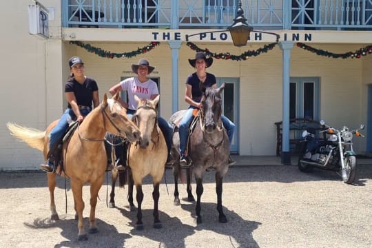 Under Contract - Plough Inn - Prime Freehold Going Concern Opportunity on Busy Tourist Route!