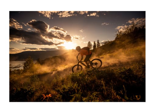 Bicycle Store