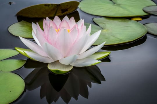Skin & Beauty Clinic in Brisbane