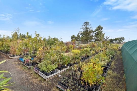 Multiflora Nursery - Colac (IWR2646)