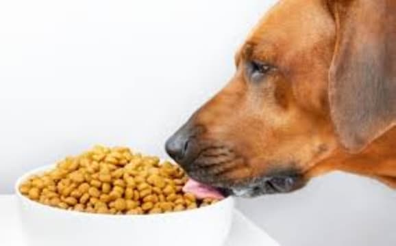 Gskipe34sybctz6sx2dc