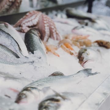 Coming Soon - Fresh Seafood Business - Easy To Run