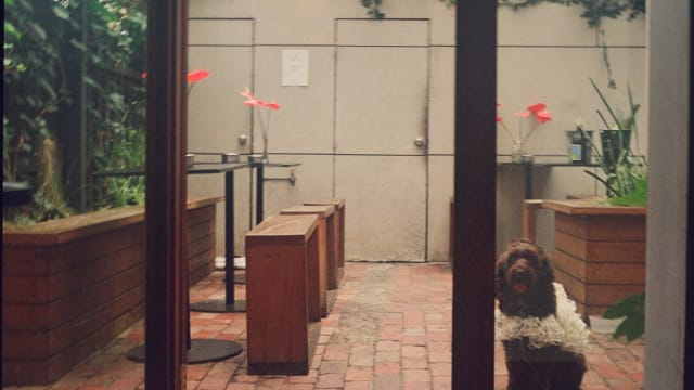 Uncle Joe's Wine Bar