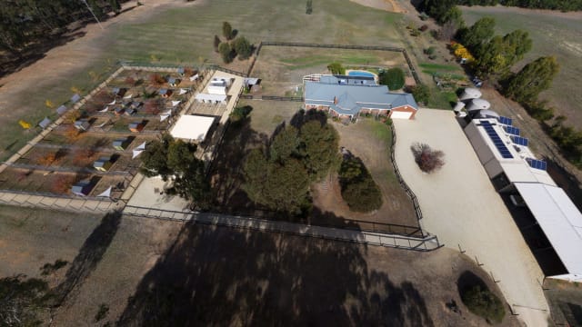 Escape the City. Bring Your Income With You.
Established Boarding Kennel Business + Home + 45 Acres