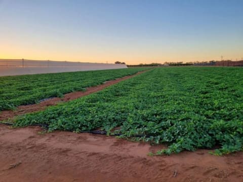 Horticulture Business & 58 Acre Asset | $1.5M+ Capability | Walk-In Walk-Out