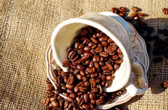 Premium Cafe Business for Sale