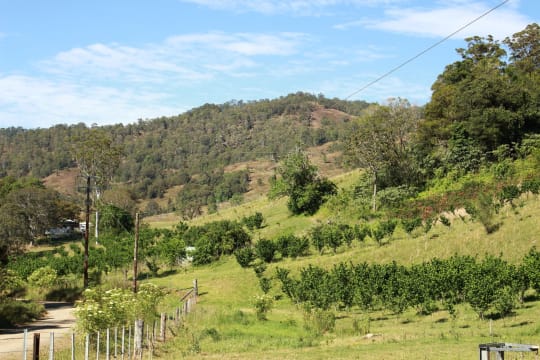 Sustainable Hazelnut & Agritourism Business Opportunity