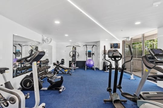 All Class in Runaway Bay - ID 8384