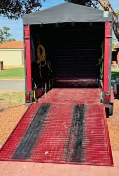 FOR SALE - Perth’s Favourite Mobile Gelato Cart Business