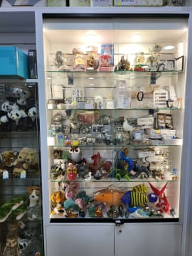 Hbmmujnq311bo9uwgb3v