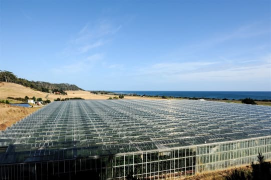 Hydroponic Vegetable Crop Farm - Land, Buildings & Machinery