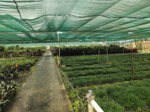 Leased  Nursery and spa supplies. Wholesale and Retail with 18.5 Acres and 3 bedroom home and pool