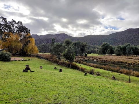 A BEAUTIFUL LOCATION TO OWN YOUR OWN FREEHOLD MOTEL - 1836MF