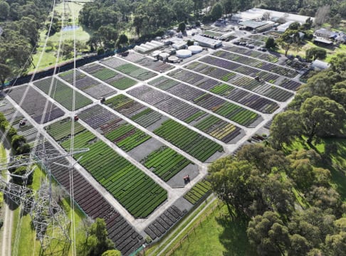 Established Wholesale Production Nursery | Under Management | $1.9m Profit