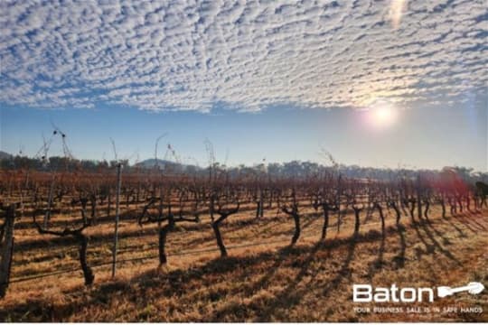 Ballandean Estate Vineyard & Winery for Sale