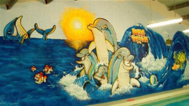 KIDS SWIM SCHOOL FOR SALE IN BEAUTIFUL BYRON BAY AREA