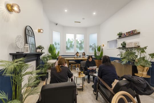 PRICE REDUCED - BLUE SPARROW COFFEE – SOUTHLAND