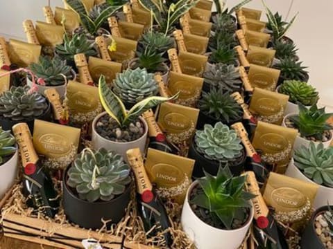 Succulent Surprise - Established Online Plant Store and Gifting Brand - National Opportunity
