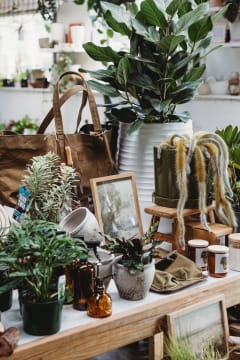 Boutique Plant / Garden Nursery & Giftware Store  Creative Lifestyle Business | Sydney