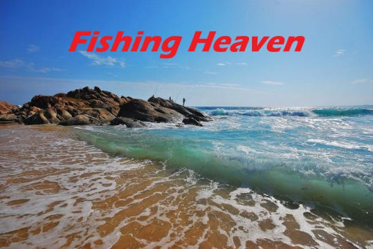 Prime Freehold acquisition in Marlo.  8592m2