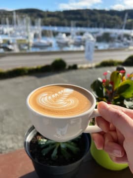 Scenic Waterfront Business and 1BR Studio High Profits Owner Operated