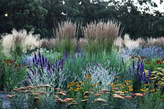 Wholesale & Retail Nursery | Established Perennials Nursery Opportunity | VIC
