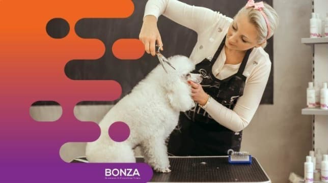 35482 Popular Pet Grooming Salon on the Sunshine Coast