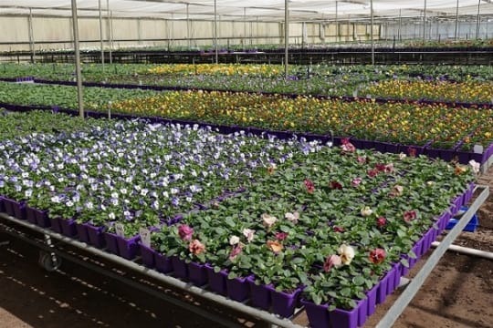 Hvufk15mdpldquax9x0c