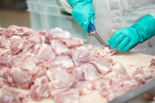 Fresh Meat Processing & Distribution Business