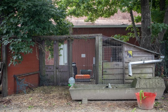 Hwpifx829yabtd3zcm90