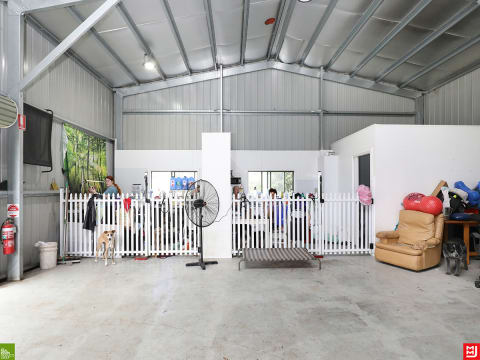 Canineology Centre | Established Doggy Day Care, Dog Grooming & Pet Transport Business - For Sale...