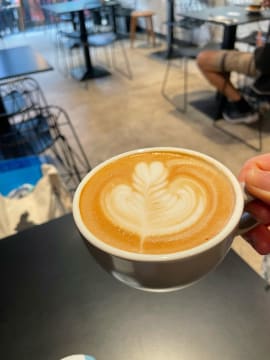 Ibvid5ds1pi0ucjkooqn