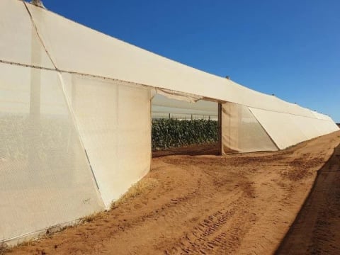 Horticulture Business & 58 Acre Asset | $1.5M+ Capability | Walk-In Walk-Out