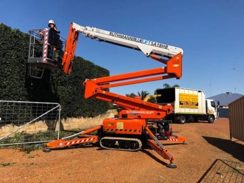 Two Long-Established Arborist Businesses with Strong Cashflow & Major Contracts
