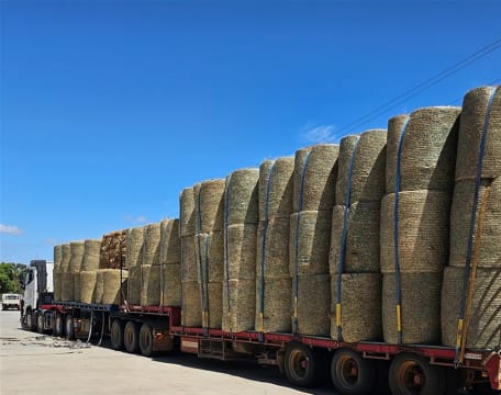 Business for Sale: Thriving Rural Retail Store.