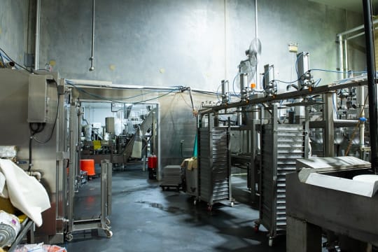 Established Asian Food Manufacturer - Strong Growth Potential