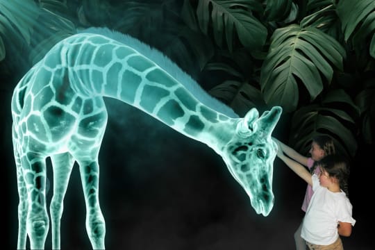 Ikzfzswpsd2pi6lhtblu