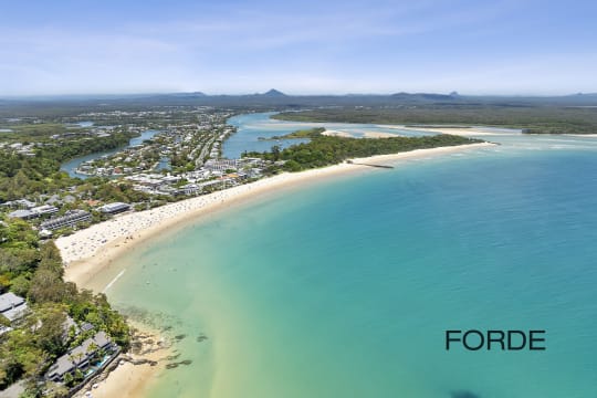 Hastings Street Business Opportunity