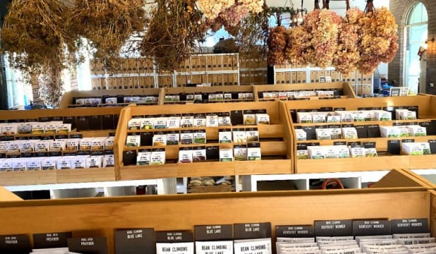 HERITAGE SEED BANK and OPEN GARDEN