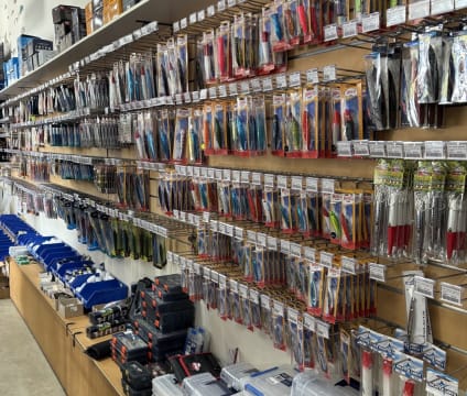 Inqjcf4lvls2jzwzyeb4