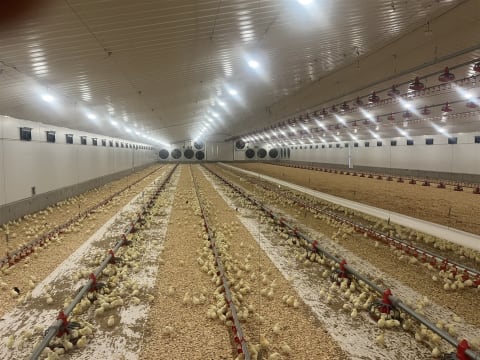 Thriving Agritech Business with Global Reach and Proven Success