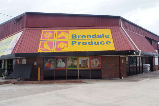 Ipm00vofdvcd0m75ix9g