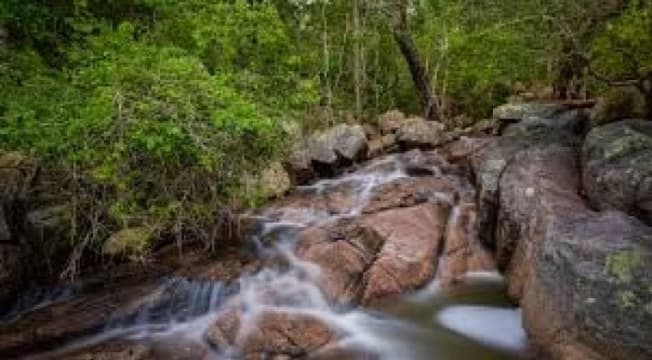 Two for the price of One looking for the Ultimate Sea Change!