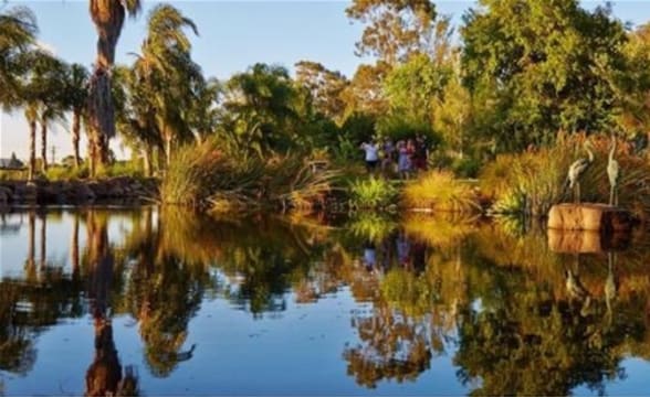 Specialist boutique Strata Management agency in Wagga Wagga