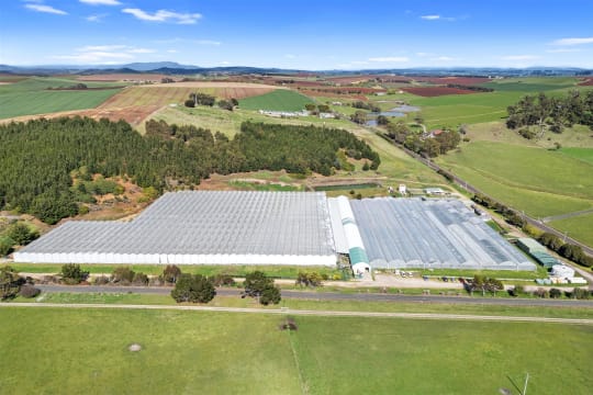 Hydroponic Vegetable Crop Farm - Land, Buildings & Machinery