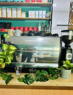 Two for the price of One looking for the Ultimate Sea Change!