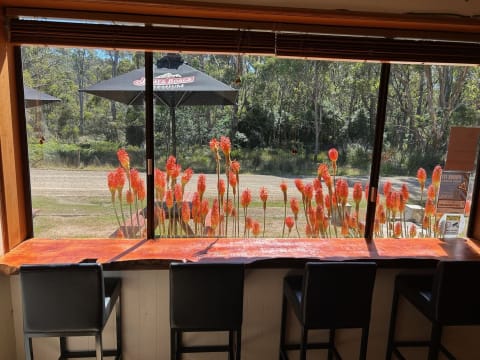 Lake Leake Inn Tasmania's Most Talked About Country Pub