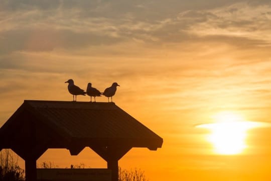 Profitable Tyres & Mechanical Business for Sale - Mornington Peninsula